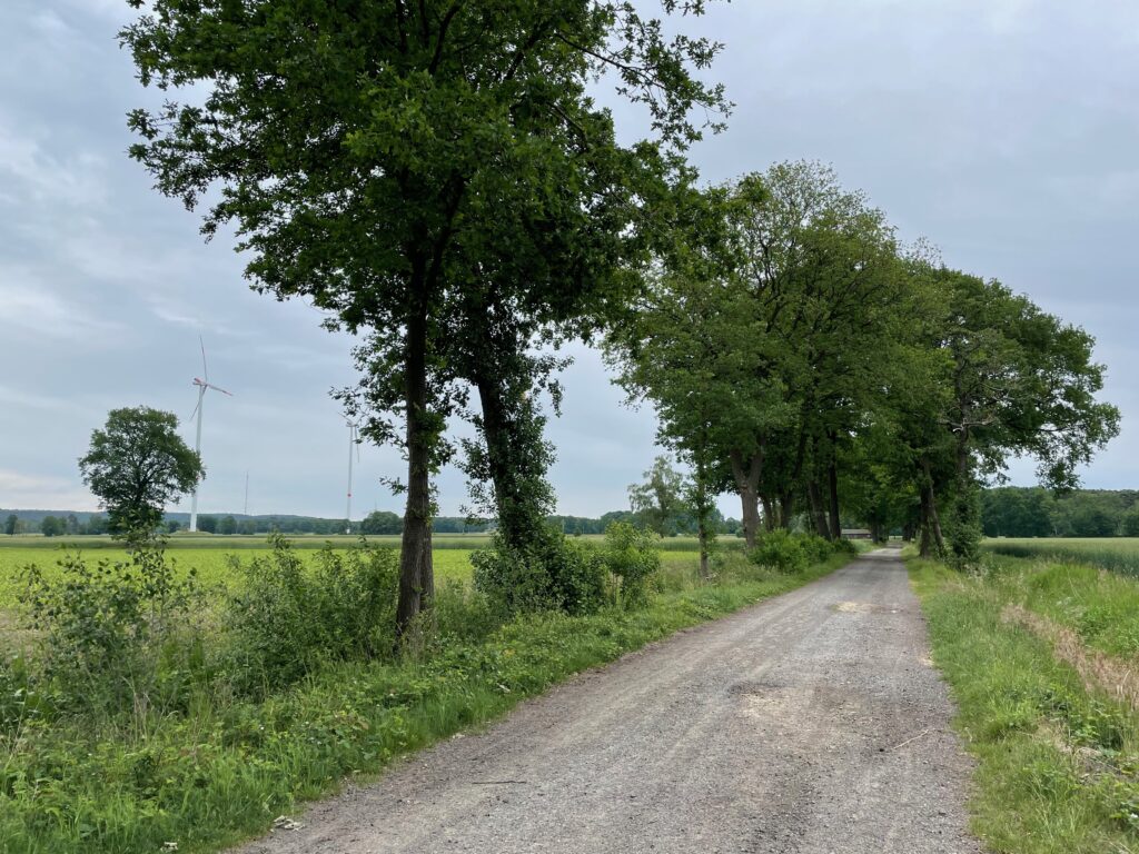 Außenbereich (§ 35 BauGB): Was ist zulässig?